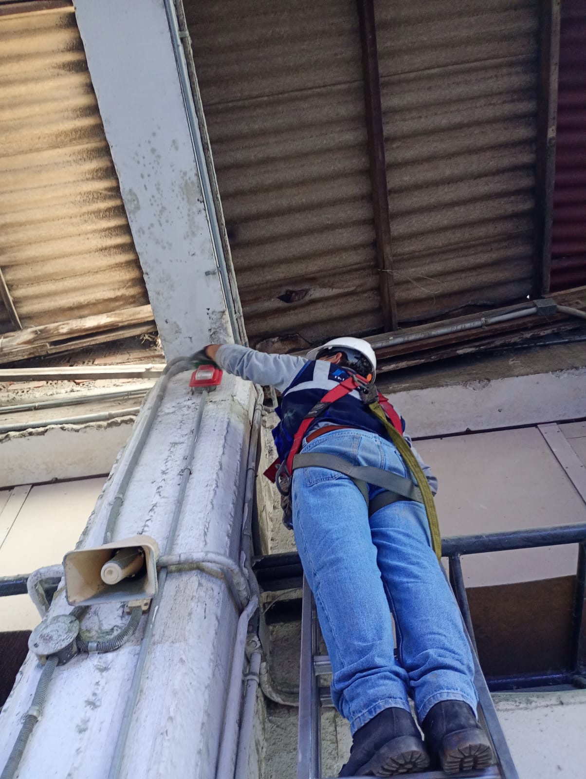 servicio008_0023